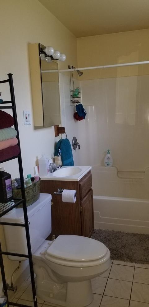 15717 Trumbull Ave, Markham, IL 60428 photo 10