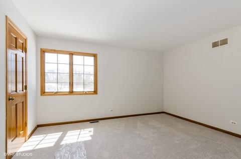 228 Will Scarlett Ln, Elgin, IL 60120 photo 24