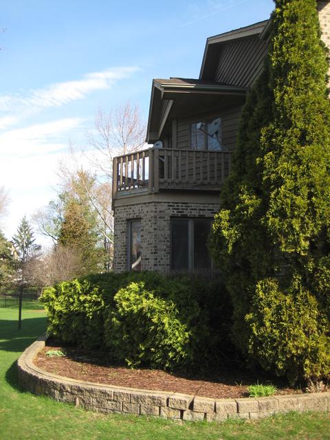 228 Will Scarlett Ln, Elgin, IL 60120 photo 38