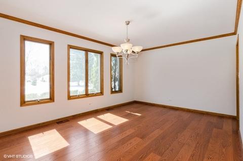 228 Will Scarlett Ln, Elgin, IL 60120 photo 12