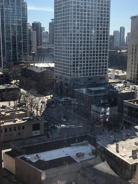 30 Elm St #19E, Chicago, IL 60611 photo 13