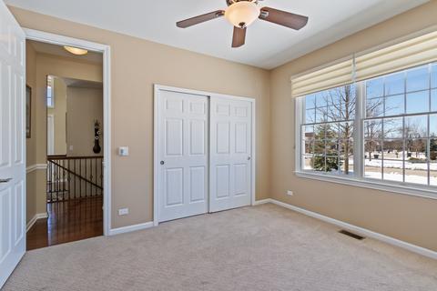 12 Chaco Ct, South Barrington, IL 60010 photo 17