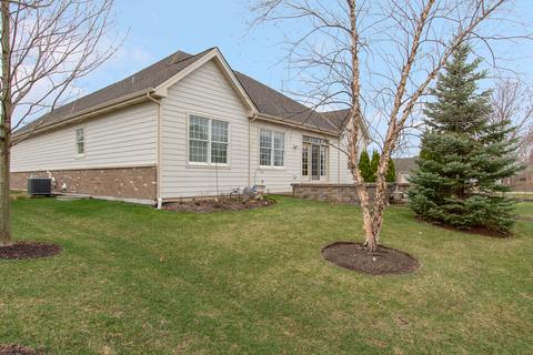 12 Chaco Ct, South Barrington, IL 60010 photo 19