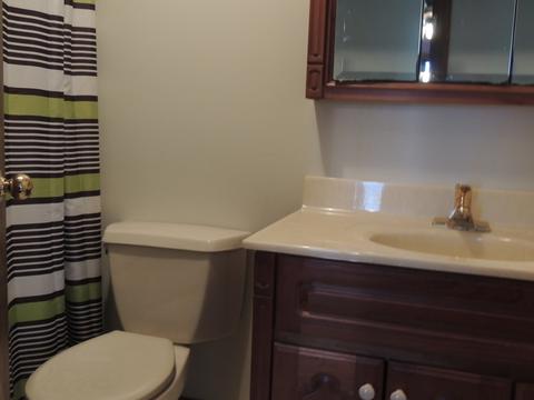 10 Willow Ct, Spring Valley, IL 61362 photo 35