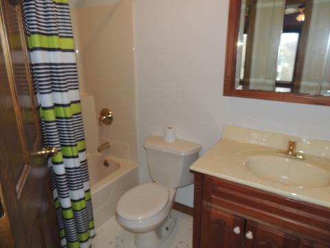 10 Willow Ct, Spring Valley, IL 61362 photo 34
