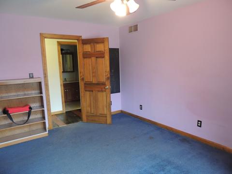 10 Willow Ct, Spring Valley, IL 61362 photo 33