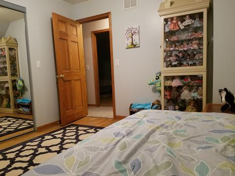 36093 N Helendale Rd, Ingleside, IL 60041 photo 16
