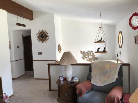 41 Aztec Cir, Putnam, IL 61560 photo 5