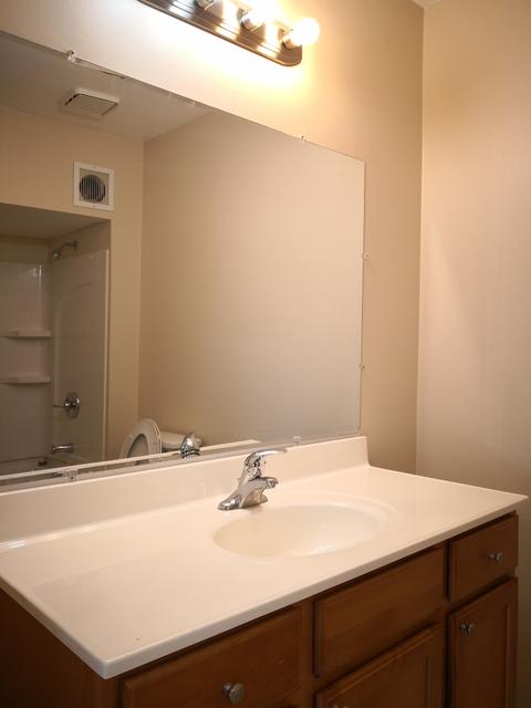 2628 Carrington Dr, Dundee, IL 60118 photo 23
