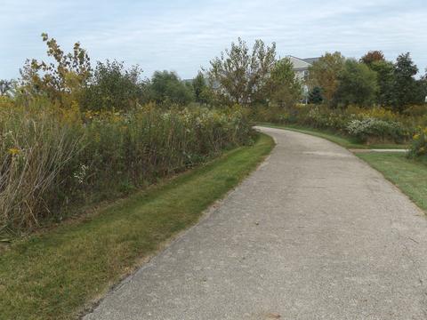 1006 Reserve Dr, Elgin, IL 60124 photo 13