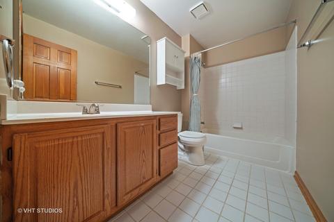267 Windsor Dr, Bartlett, IL 60103 photo 20