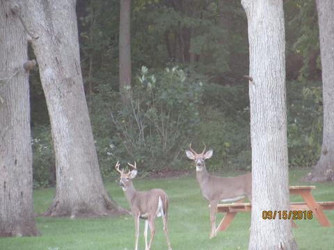 1737 Heather Dr, Algonquin, IL 60102 photo 41