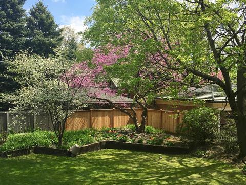 815 William St, River Forest, IL 60305 photo 45
