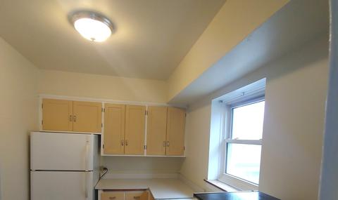 100 Pine Ave #2, Riverside, IL 60546 photo 5
