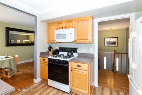 1315 Meyer Rd, Hoffman Estates, IL 60169 photo 6