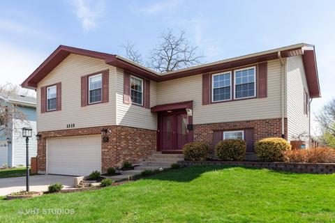 1315 Meyer Rd, Hoffman Estates, IL 60169 photo 1