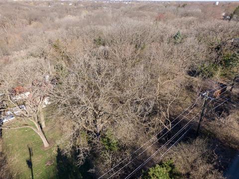 9 Circle Dr, Algonquin, IL 60102 photo 49