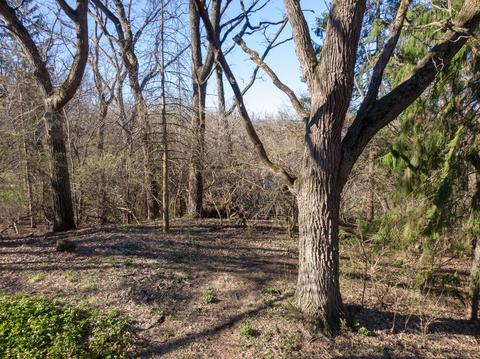 9 Circle Dr, Algonquin, IL 60102 photo 67