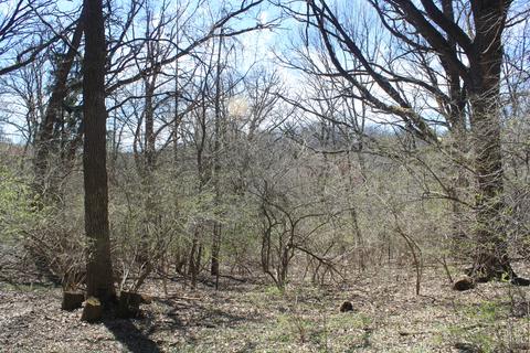9 Circle Dr, Algonquin, IL 60102 photo 30