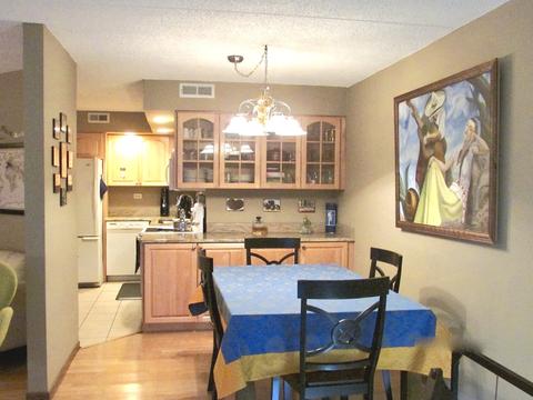 1660 E Thacker St #1F, Des Plaines, IL 60016 photo 5