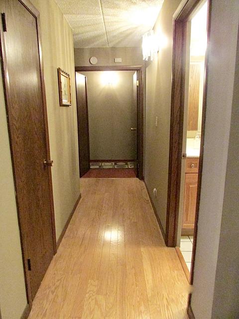 1660 E Thacker St #1F, Des Plaines, IL 60016 photo 14