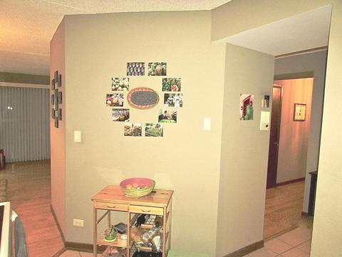 1660 E Thacker St #1F, Des Plaines, IL 60016 photo 9