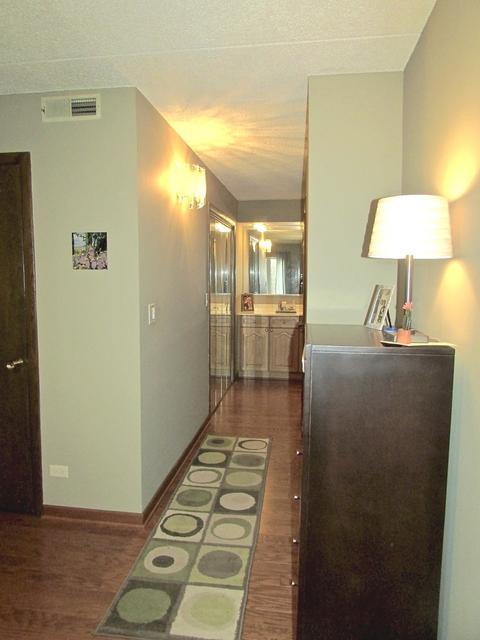 1660 E Thacker St #1F, Des Plaines, IL 60016 photo 18