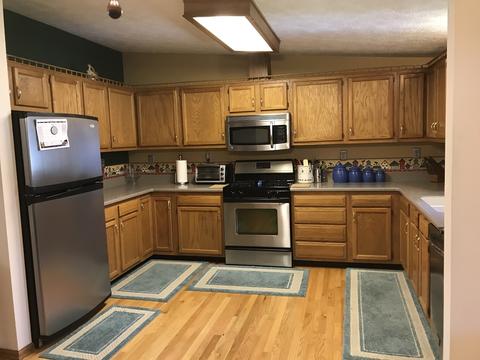 202 Mitchell Ct, Braidwood, IL 60408 photo 7