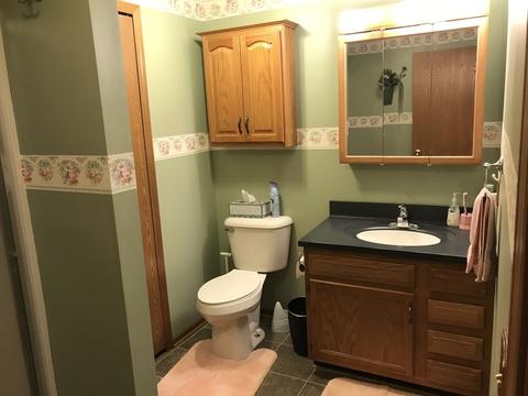 202 Mitchell Ct, Braidwood, IL 60408 photo 11