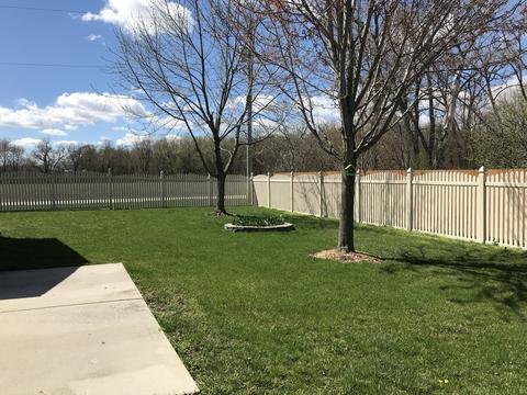 202 Mitchell Ct, Braidwood, IL 60408 photo 23