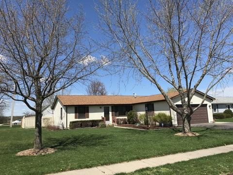 202 Mitchell Ct, Braidwood, IL 60408 photo 3