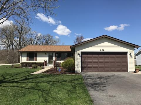 202 Mitchell Ct, Braidwood, IL 60408 photo 2