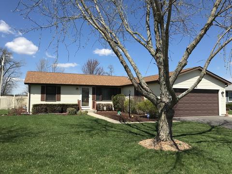 202 Mitchell Ct, Braidwood, IL 60408 photo 1