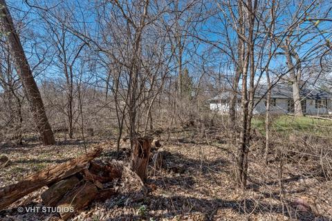 512 Stevens Ct, Sleepy Hollow, IL 60118 photo 3