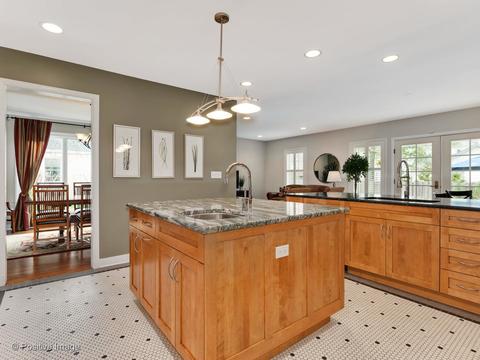 14 Briar Rd, Golf, IL 60029 photo 9