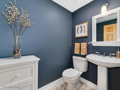 14 Briar Rd, Golf, IL 60029 photo 15