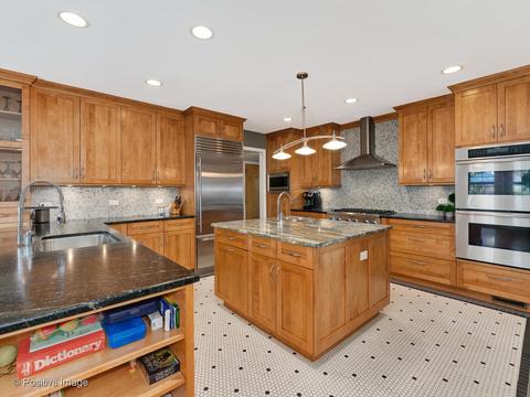 14 Briar Rd, Golf, IL 60029 photo 7