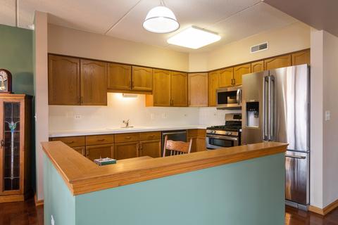 1477 E Thacker St #210, Des Plaines, IL 60016 photo 4
