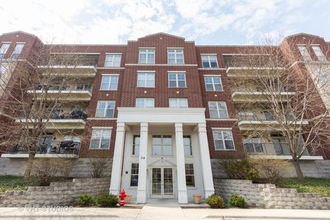 715 Astor Ln #507, Wheeling, IL 60090 photo 1