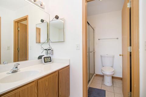 1768 Hazelnut Ln, Aurora, IL 60504 photo 13
