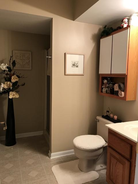 1741 Pebble Beach Dr, Hoffman Estates, IL 60169 photo 24