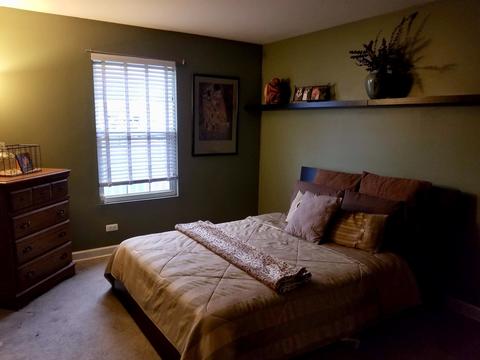 1209 Quail Dr, Plainfield, IL 60586 photo 5