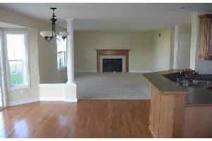 255 Poplar Ln, Beecher, IL 60401 photo 4