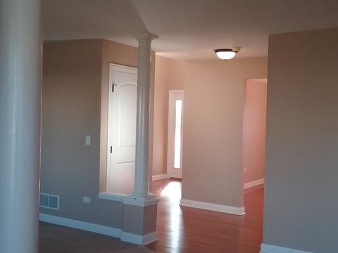 255 Poplar Ln, Beecher, IL 60401 photo 8