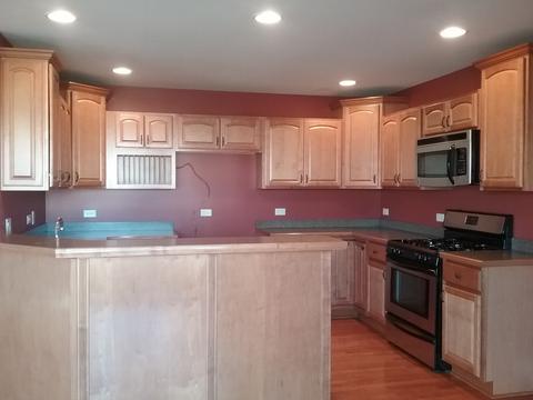 255 Poplar Ln, Beecher, IL 60401 photo 2