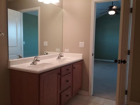 255 Poplar Ln, Beecher, IL 60401 photo 20