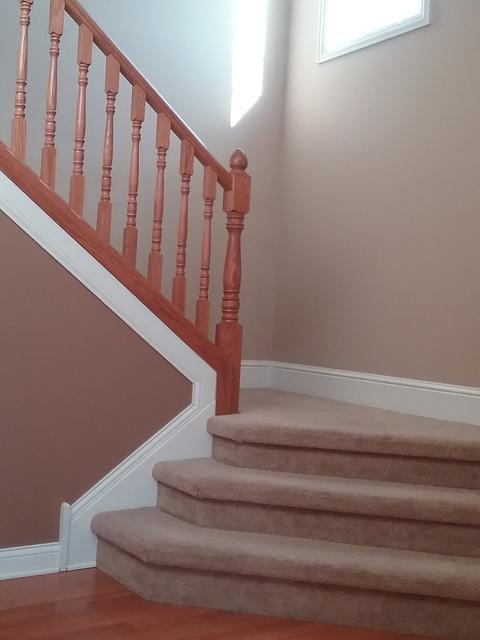 255 Poplar Ln, Beecher, IL 60401 photo 9