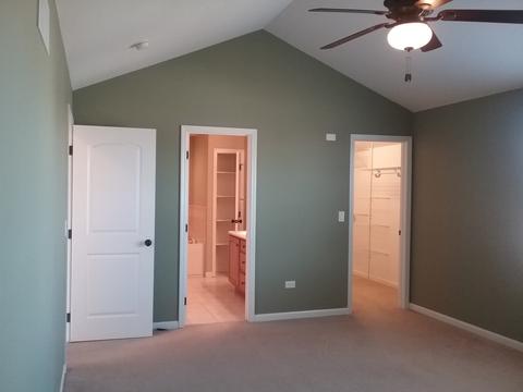 255 Poplar Ln, Beecher, IL 60401 photo 19
