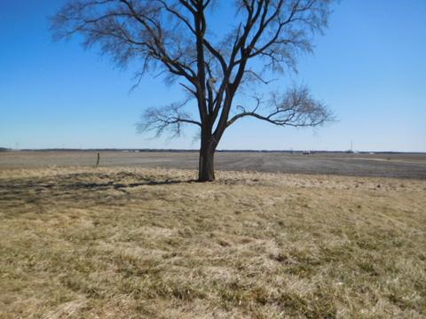 4805 E 3250 North Rd, Potomac, IL 61865 photo 4