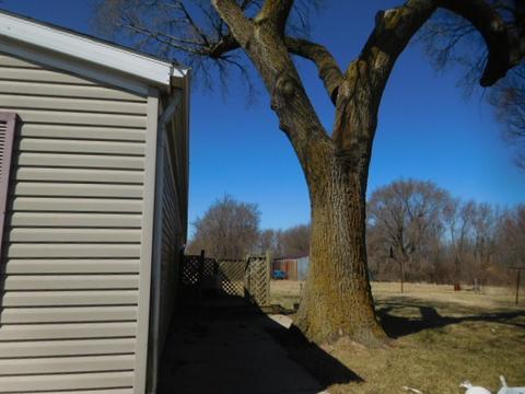 4805 E 3250 North Rd, Potomac, IL 61865 photo 3